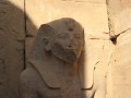 en Egypte, photo 152