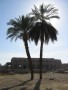 en Egypte, photo 154