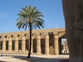 en Egypte, photo 158