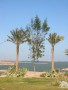 en Egypte, photo 56