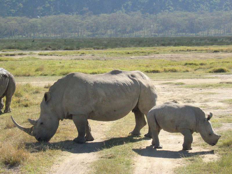 null
